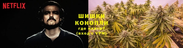 дмт Абаза