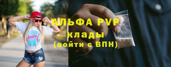дмт Абаза