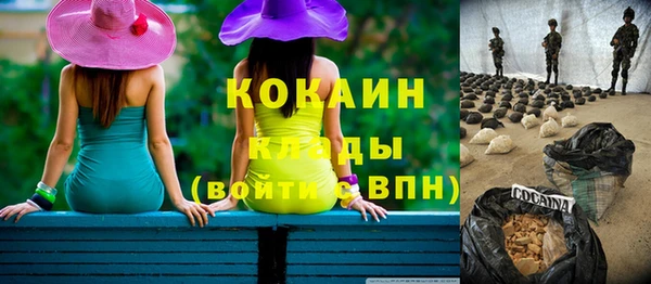 дмт Абаза
