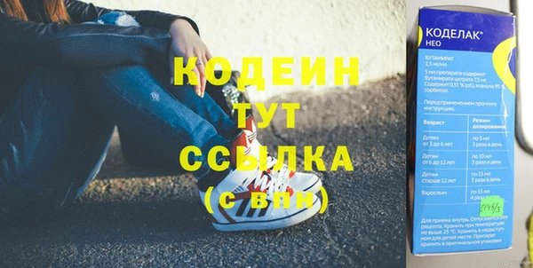 дмт Абаза