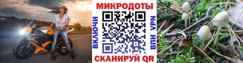 Псилоцибиновые грибы ЛСД  купить наркоту  mega вход  Златоуст 